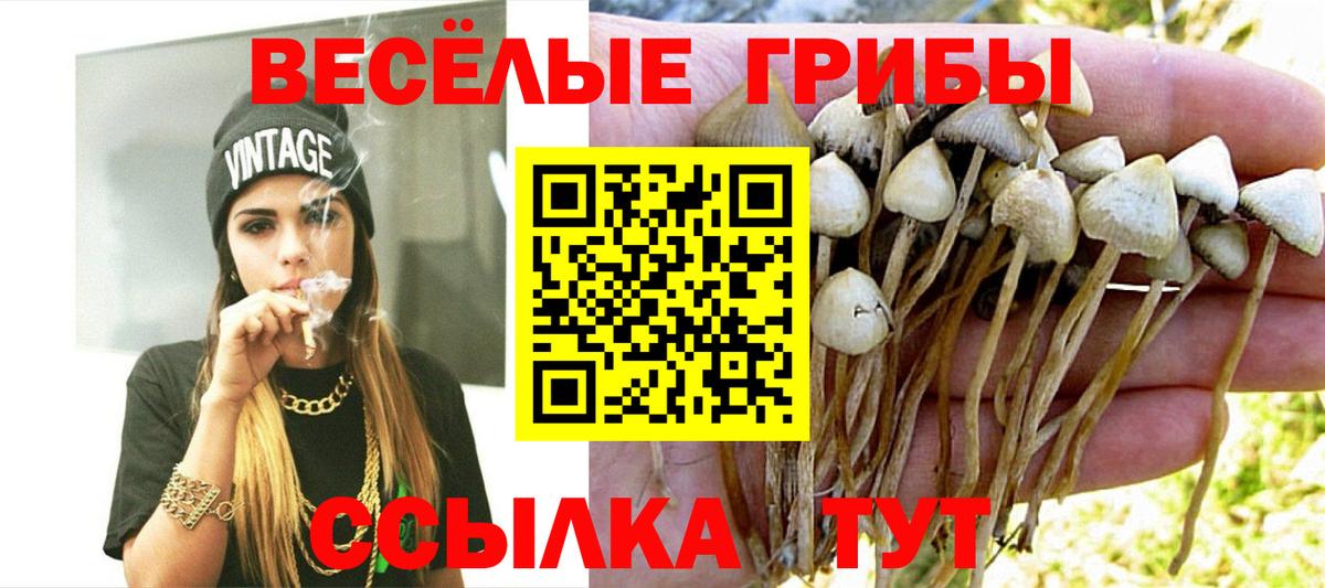 Галлюциногенные грибы Cubensis  Вход с VPN  Люберцы 